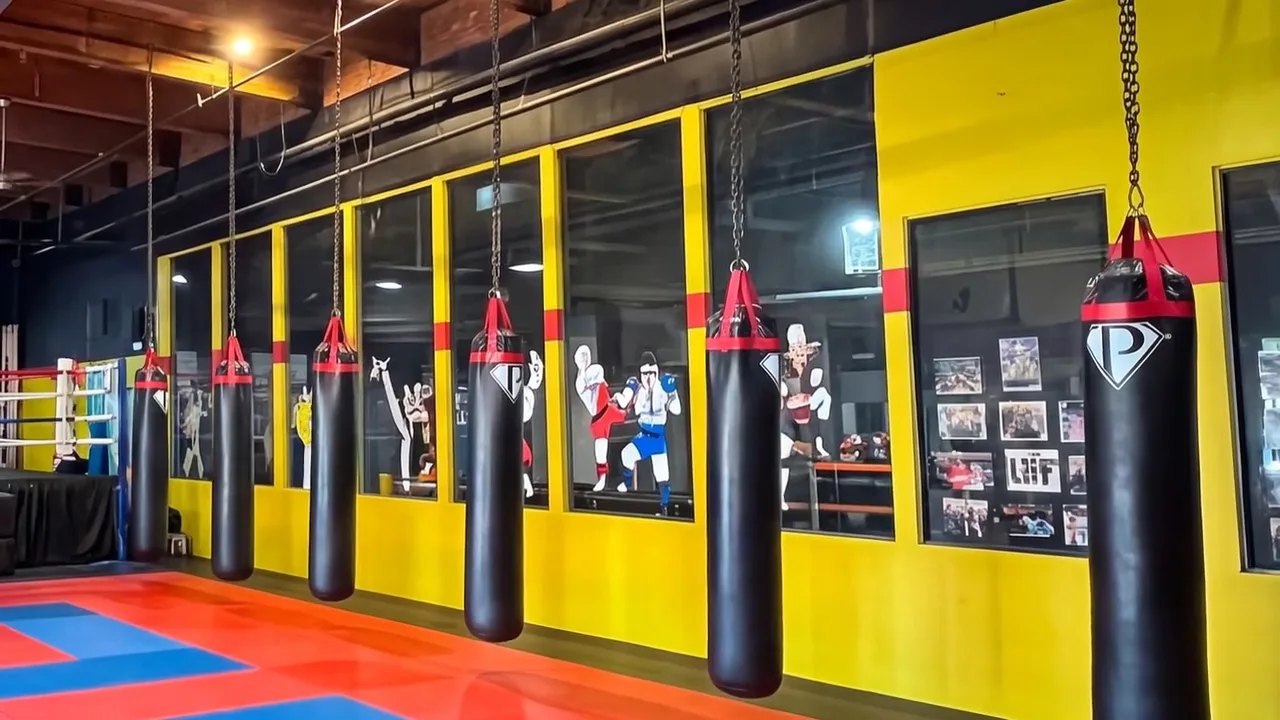 The row of heavy bags hanging along the gym's yellow wall